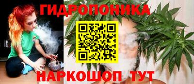трава Новодвинск