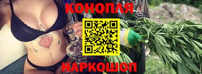 трава Новодвинск