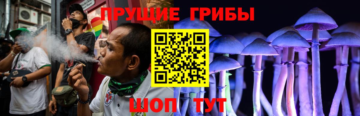 Алексин  Галлюциногенные грибы Psilocybine cubensis  Вход с VPN 